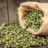 Green Coffee Bean - CogniHoney™